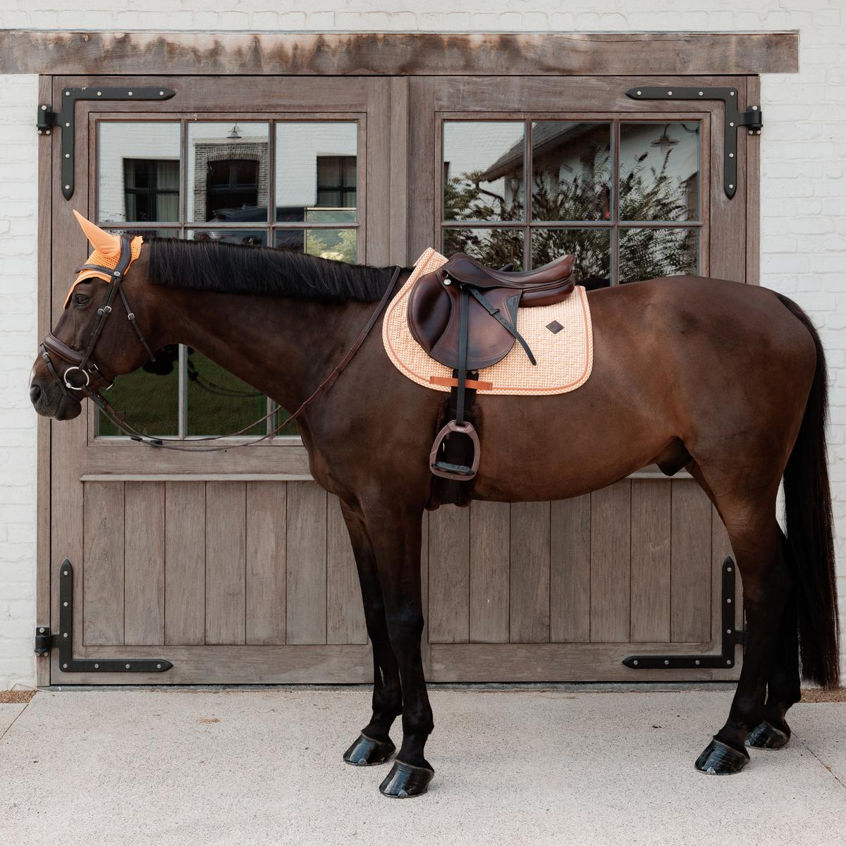 Kentucky Horsewear Saddle Pad Velvet Printing Jumping