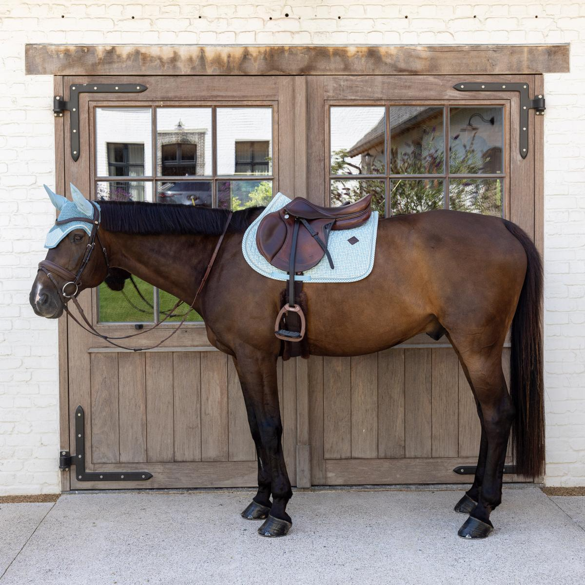 Kentucky Horsewear Saddle Pad Velvet Printing Jumping