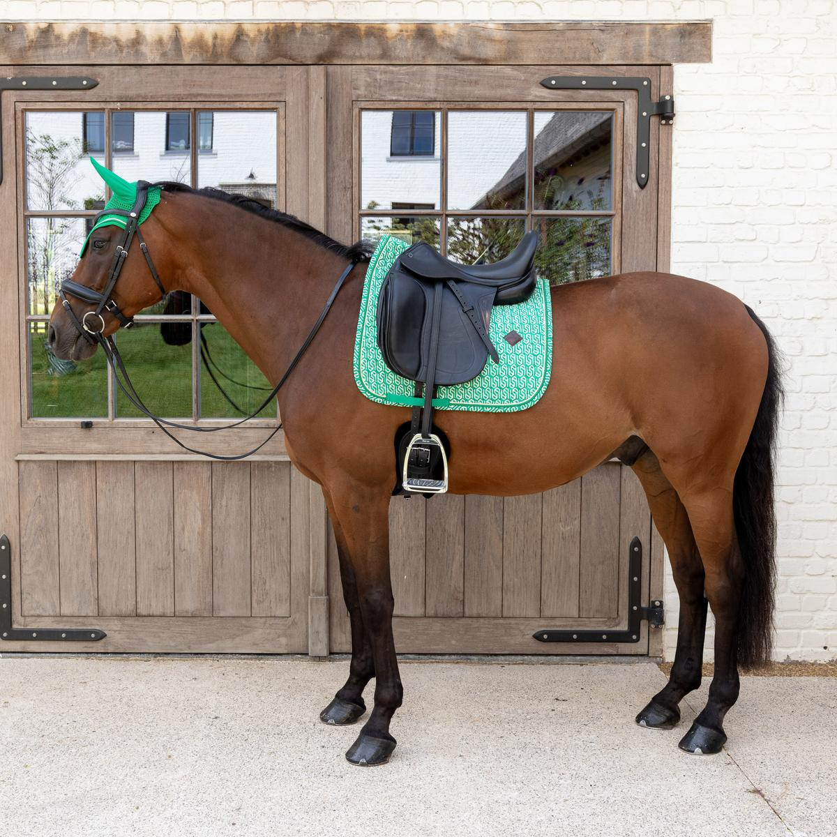 Kentucky Horsewear Saddle Pad Velvet Printing Dressage