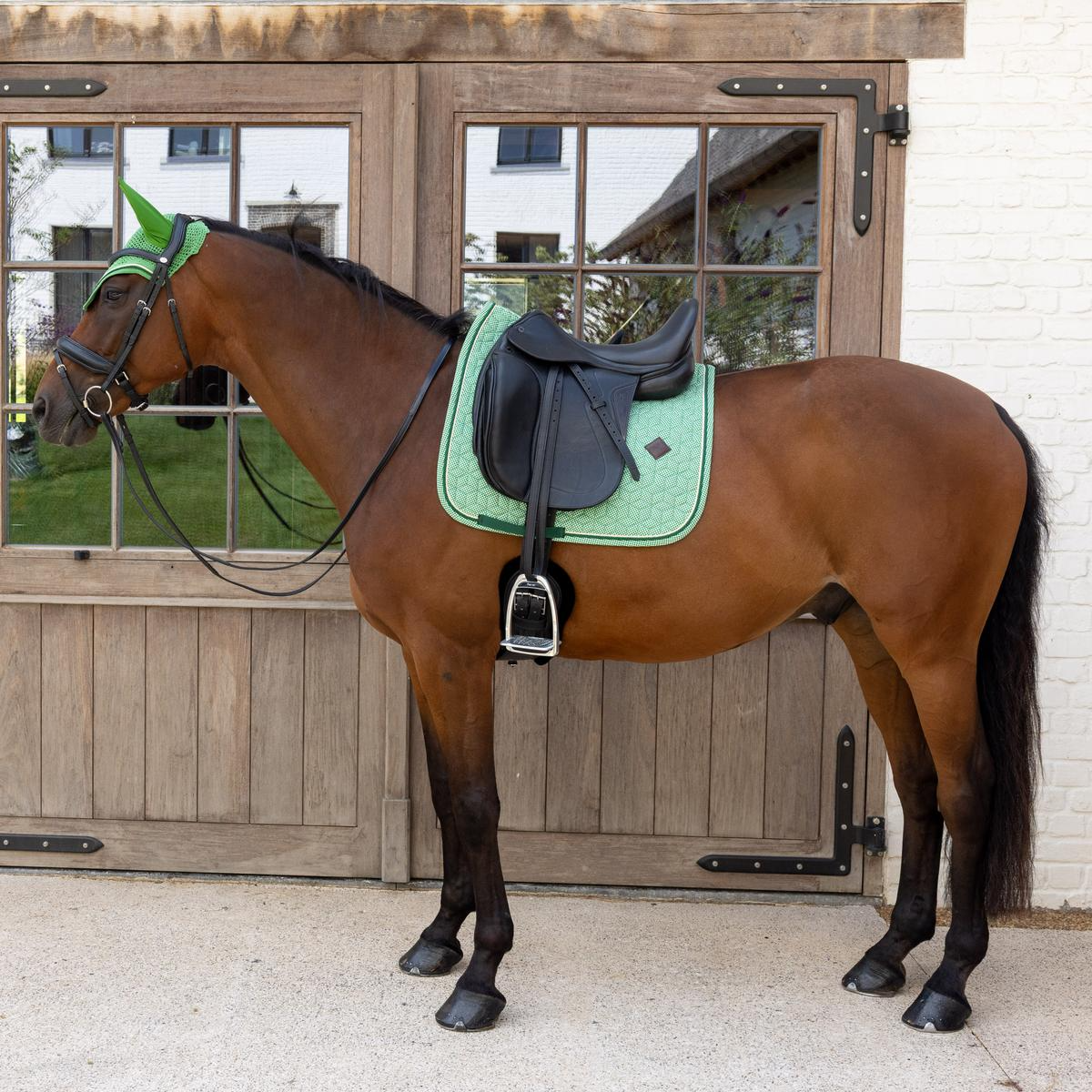 Kentucky Horsewear Saddle Pad Velvet Printing Dressage