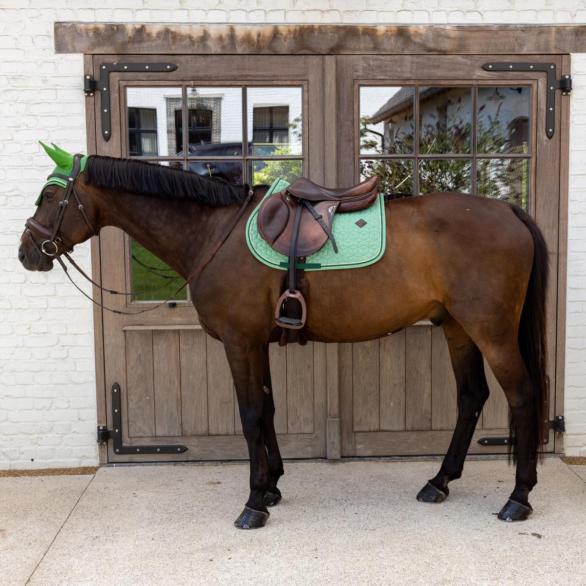 Kentucky Horsewear Saddle Pad Velvet Printing Jumping