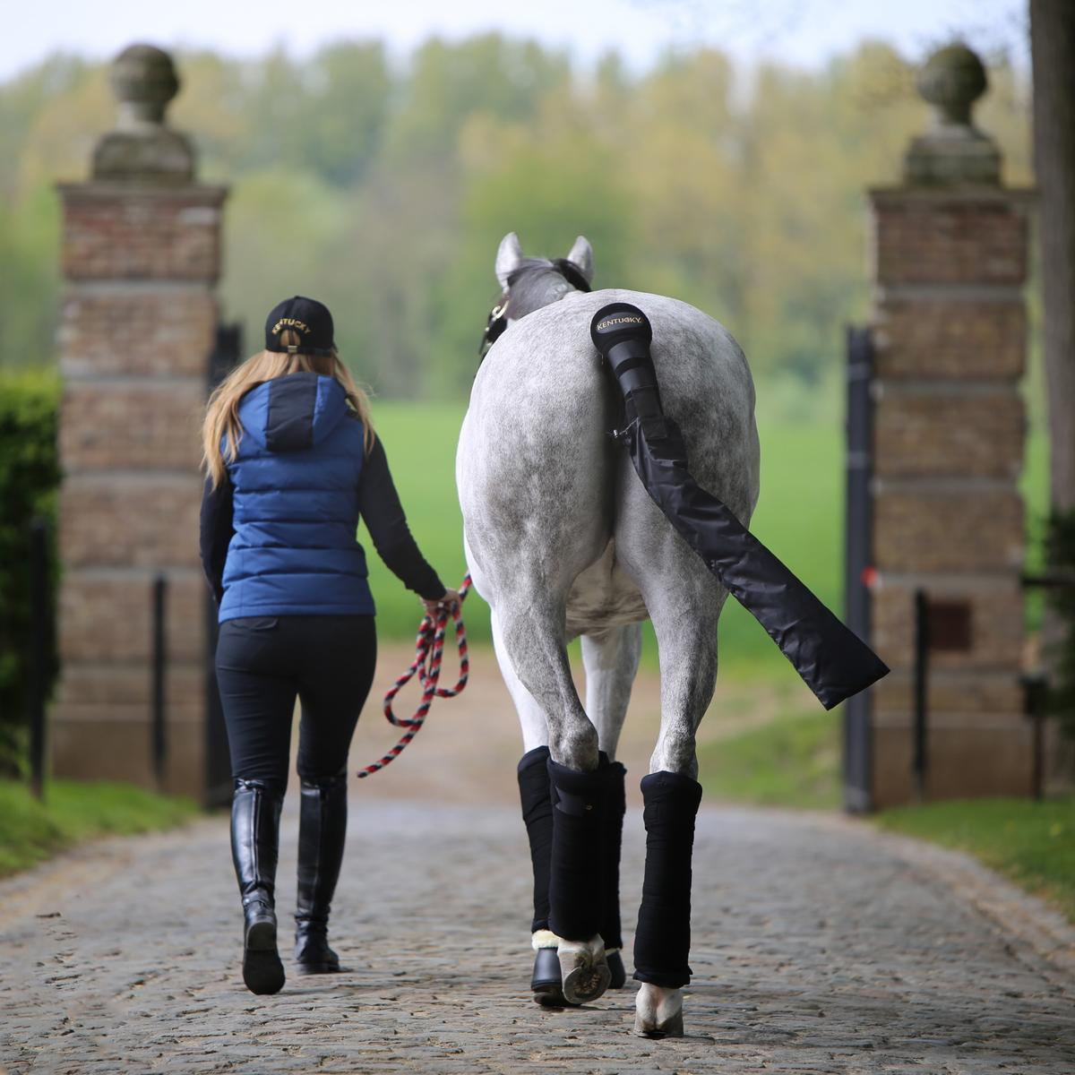 Kentucky Horsewear Stable Bandages Pads