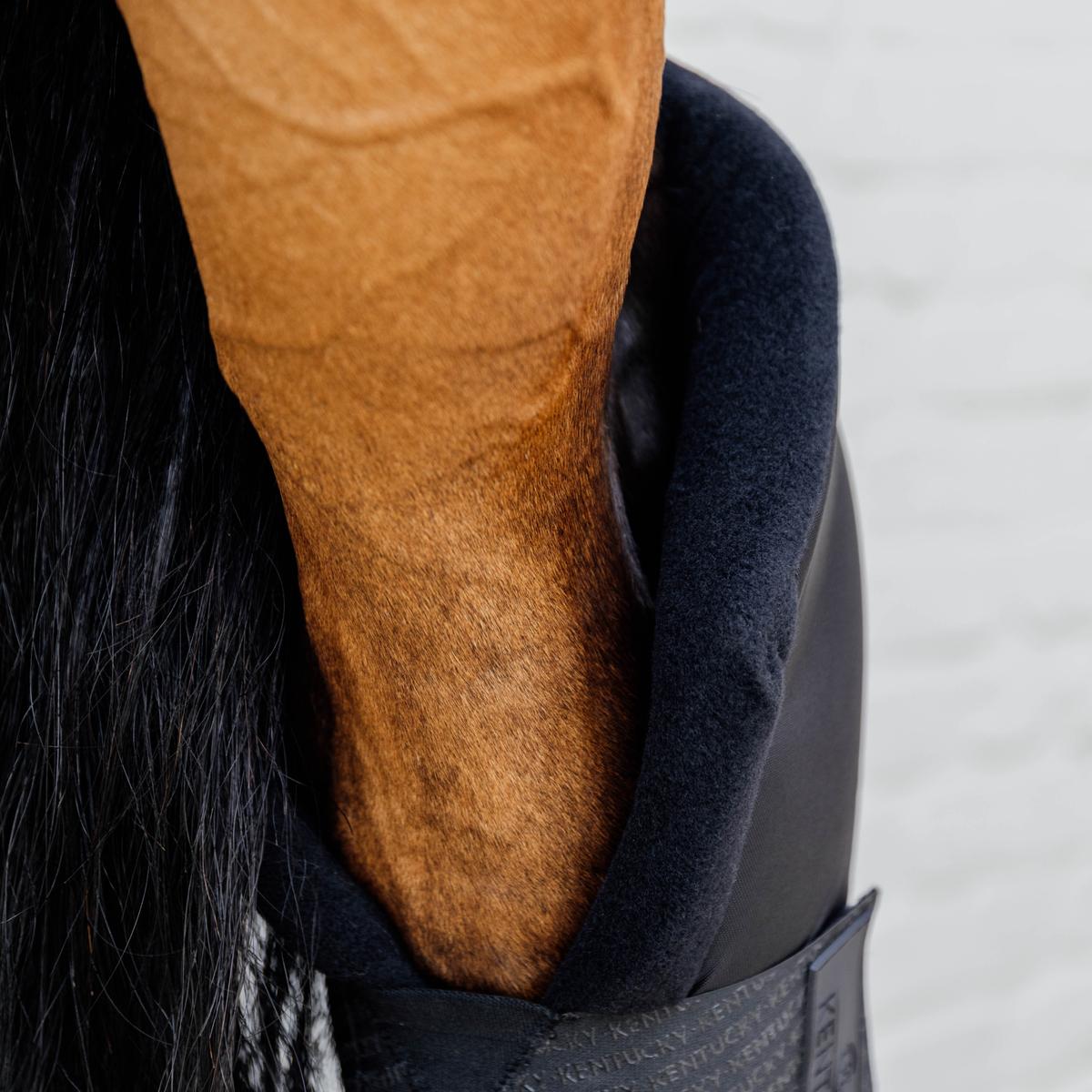 Kentucky Horsewear Stable boots PROtect long hind with hook protection