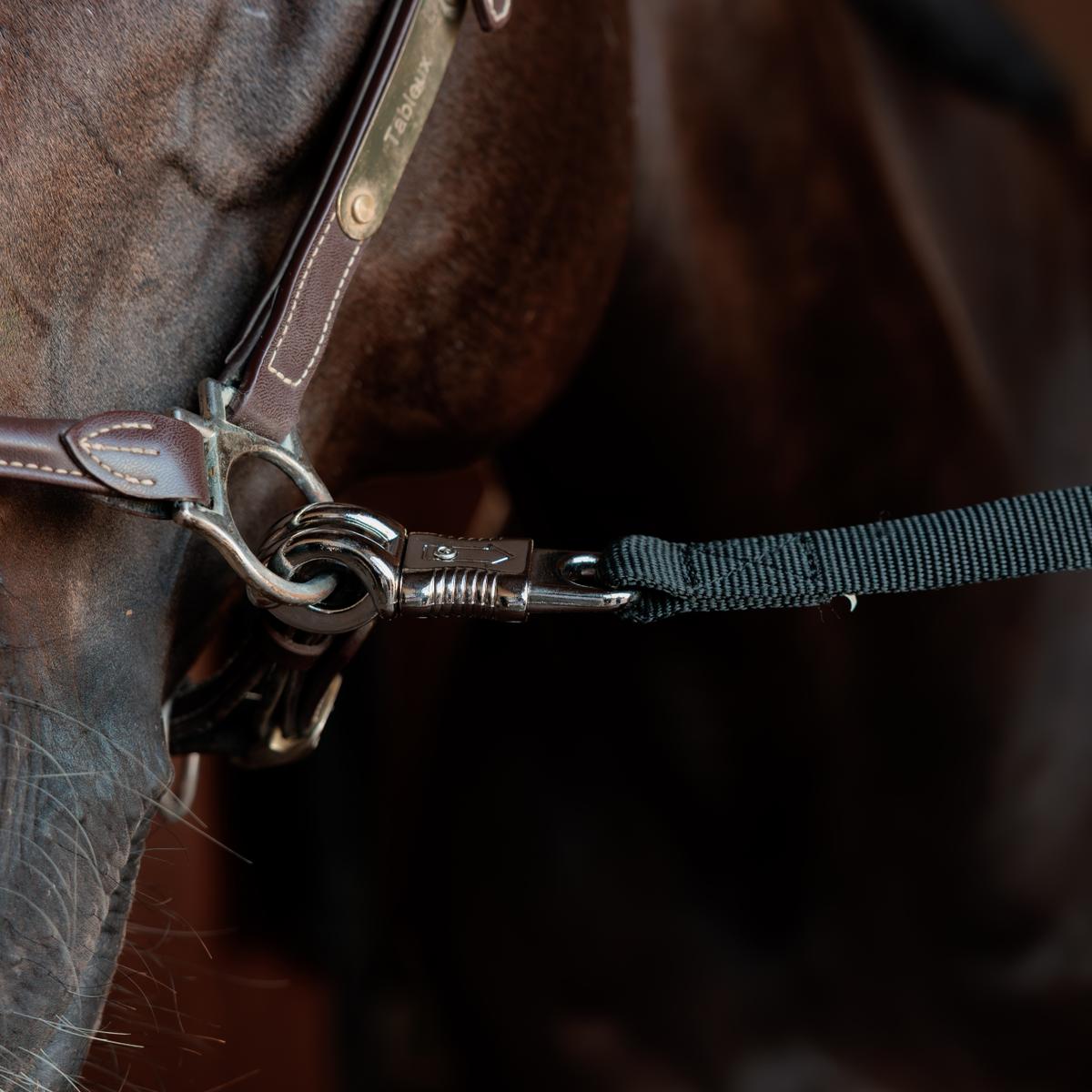 Kentucky Horsewear Horse Box Lead & Cross Ties Safety