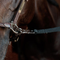 Kentucky Horsewear Horse Box Lead & Cross Ties Safety