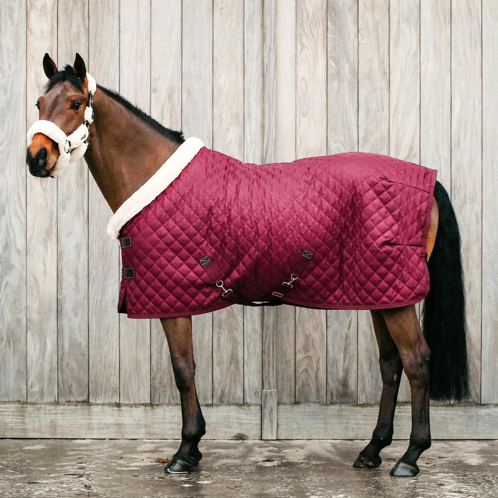 Kentucky Horsewear Show Rug 160g