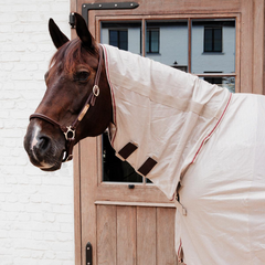 Kentucky Horsewear Mesh Fly Rug Comfort Classic with Neck and Belly Cover