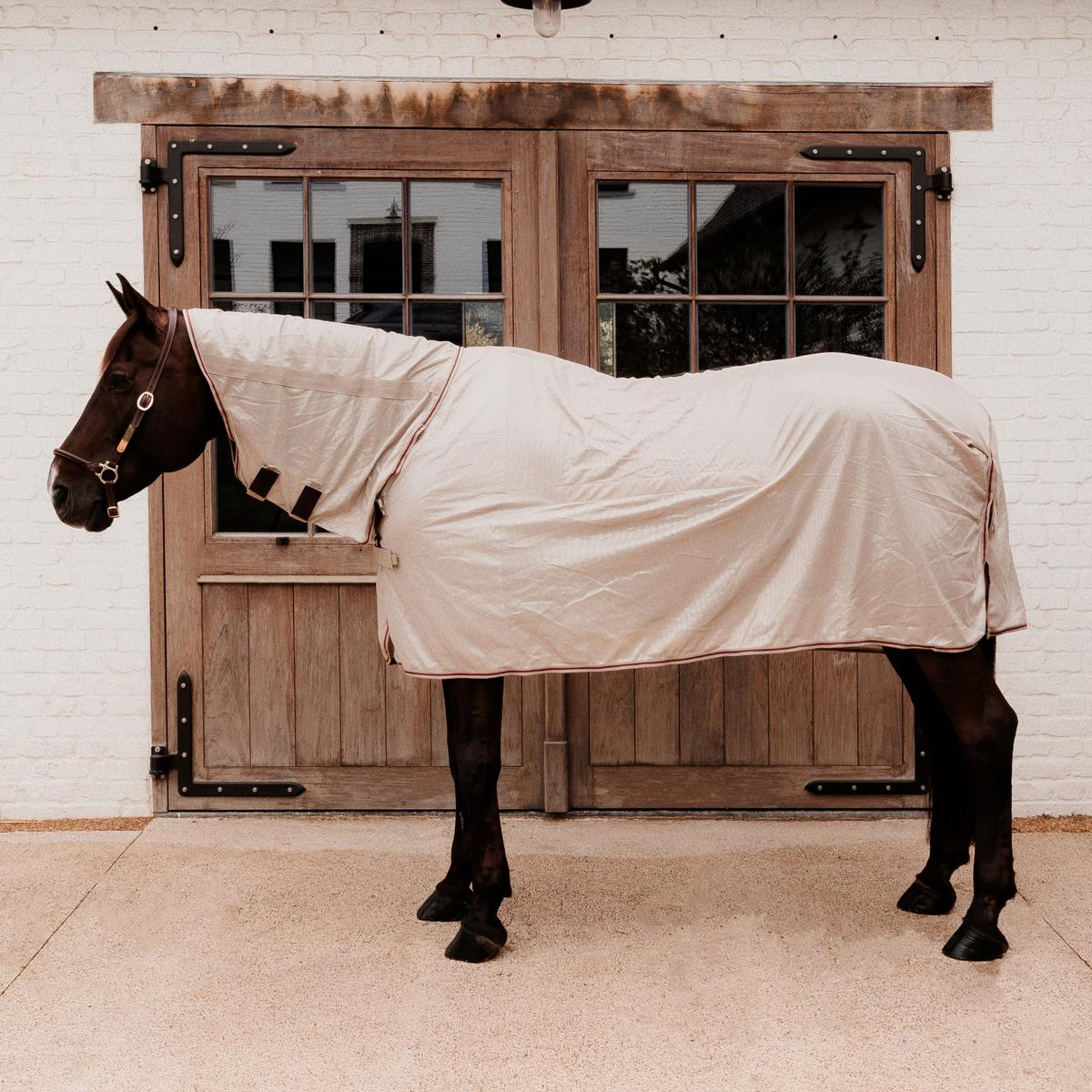 Kentucky Horsewear Mesh Fly Rug Comfort Classic with Neck and Belly Cover