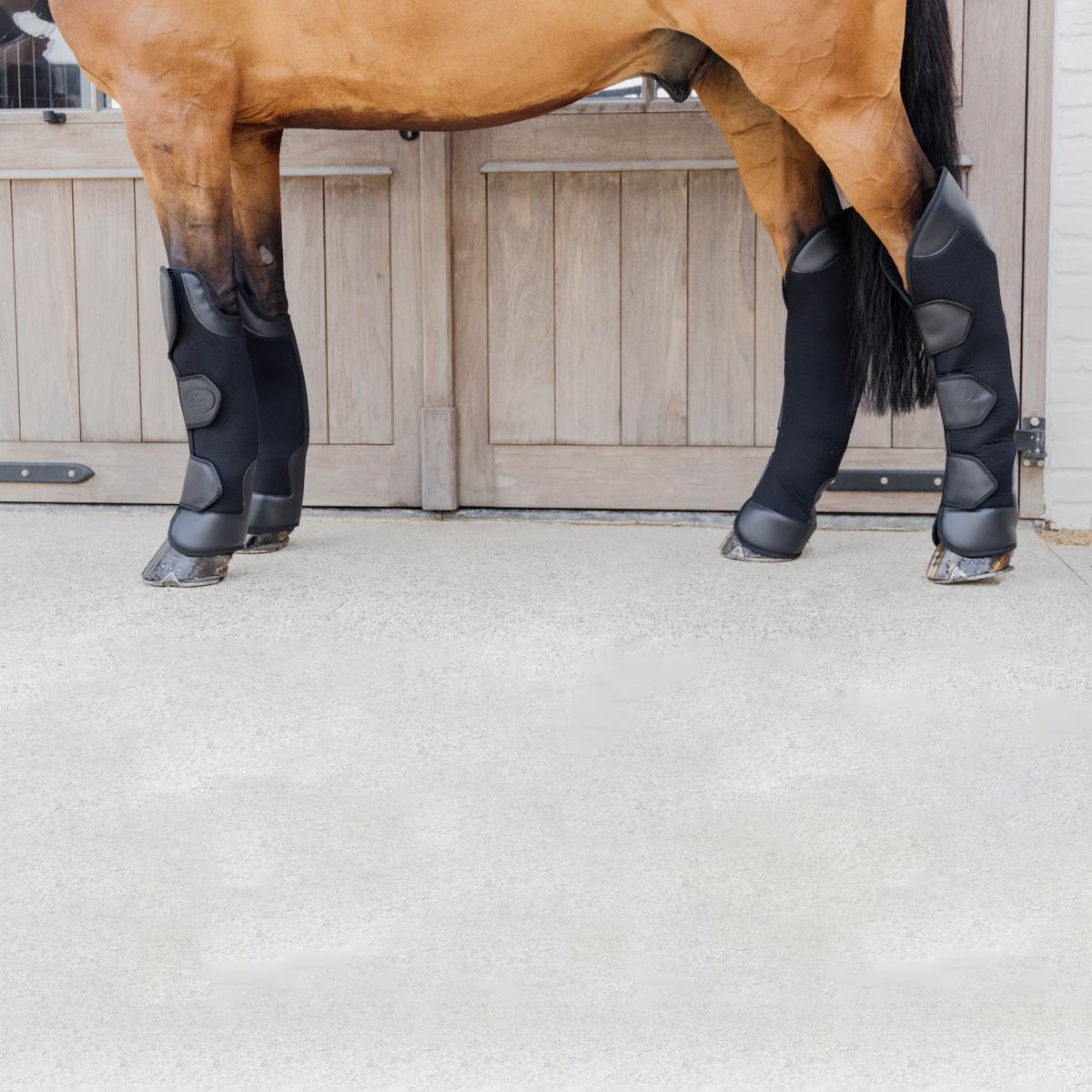 Kentucky Horsewear 3D Spacer Travel Boots Hind