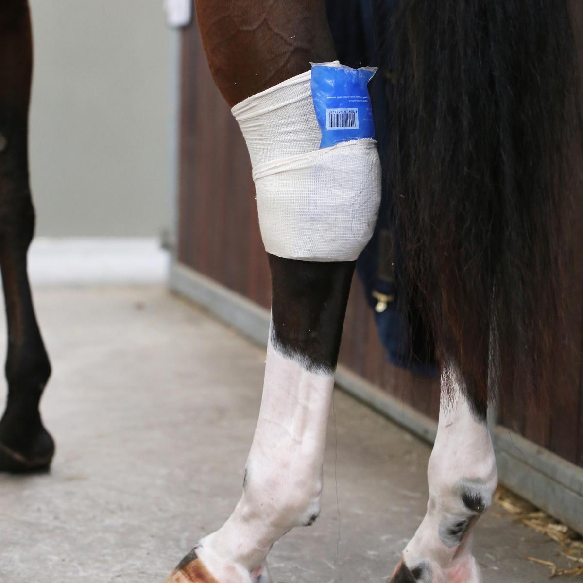 Kentucky Horsewear Tendon Grip Sock