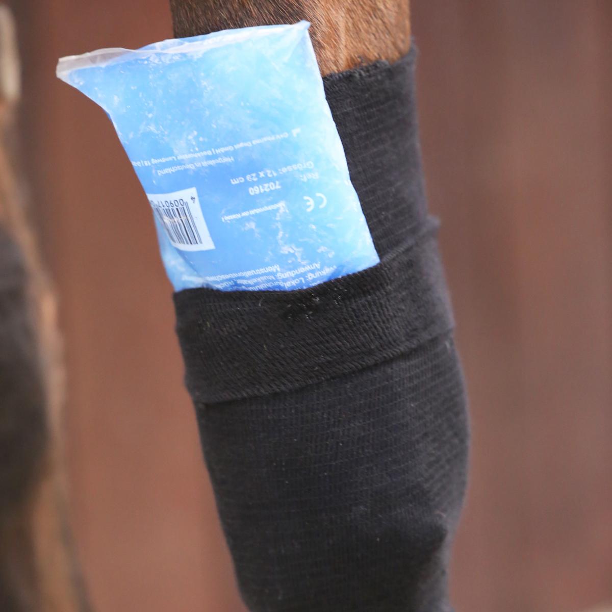 Kentucky Horsewear Tendon Grip Sock