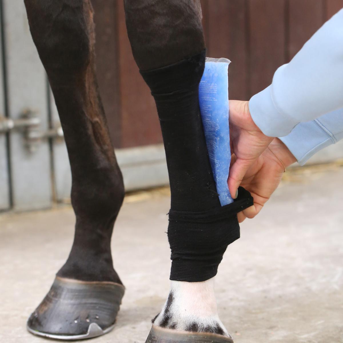 Kentucky Horsewear Tendon Grip Sock