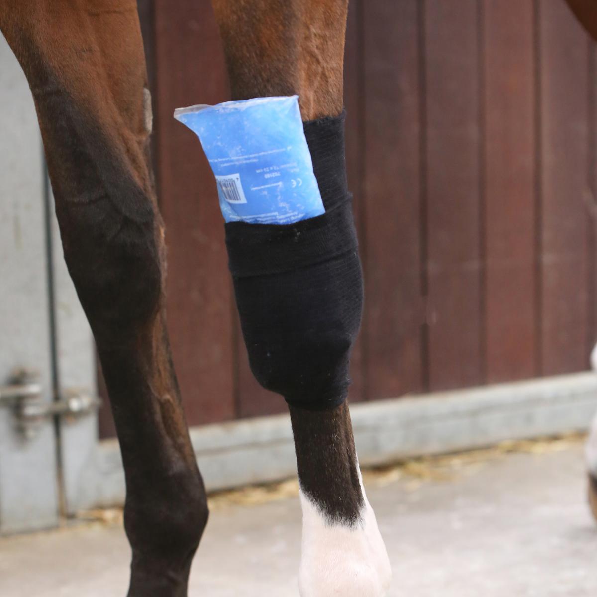 Kentucky Horsewear Tendon Grip Sock