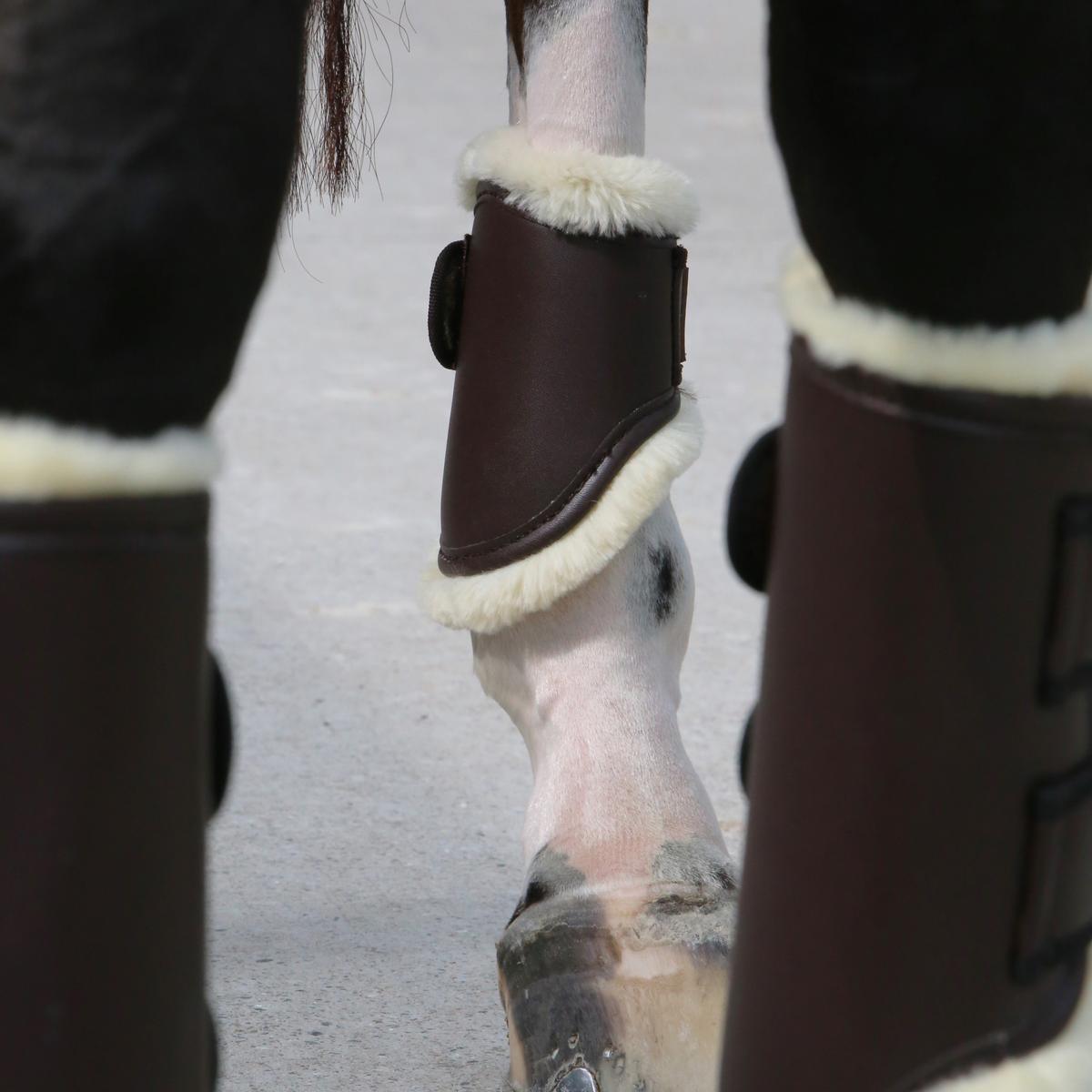 Kentucky Horsewear Brushing Boots Leather Hind Short