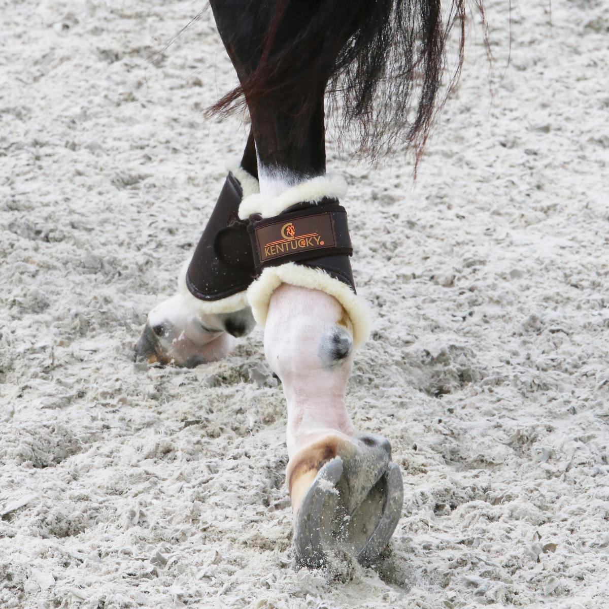 Kentucky Horsewear Brushing Boots Leather Hind Short