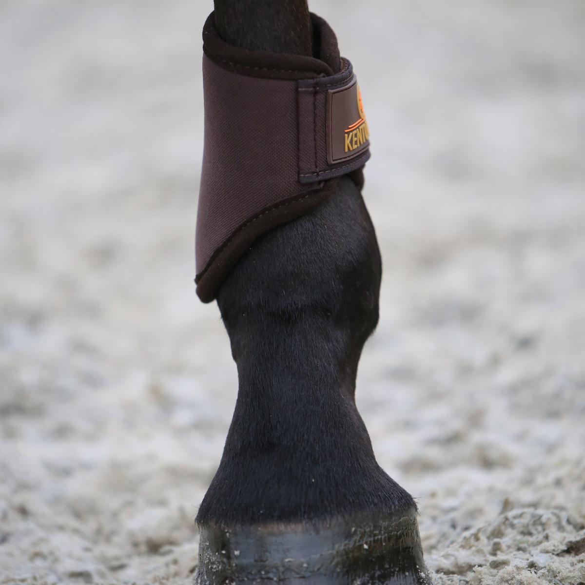 Kentucky Horsewear Brushing Boots 3D Spacer Hind Short