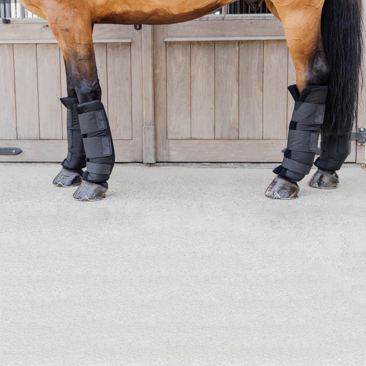 Kentucky Horsewear Stable Boots PROtect Classic Hind