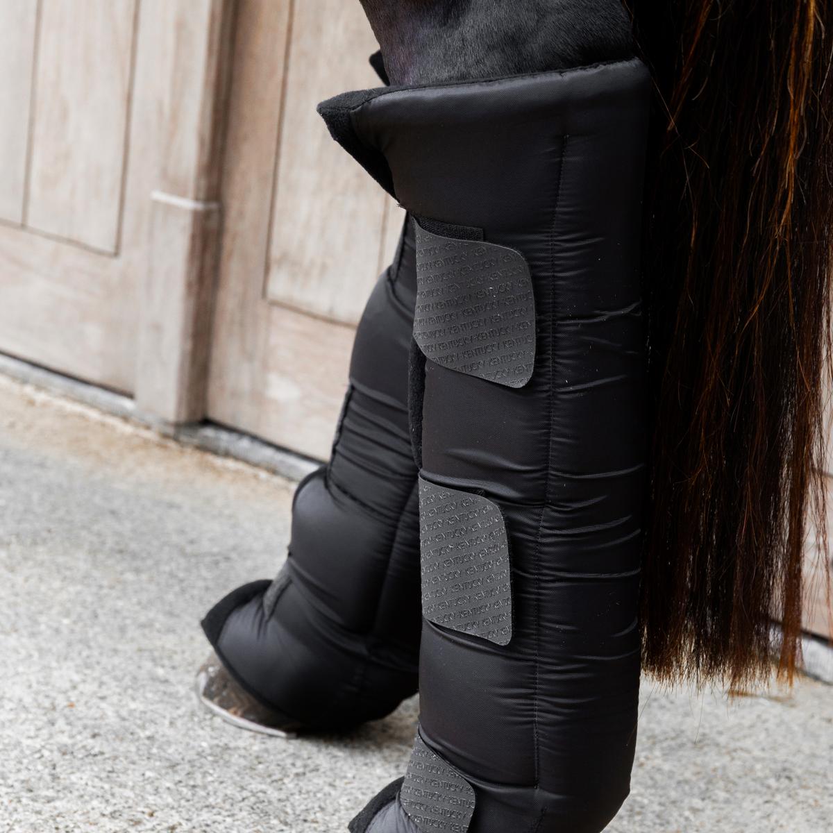 Kentucky Horsewear Stable Boots PROtect Long Hind