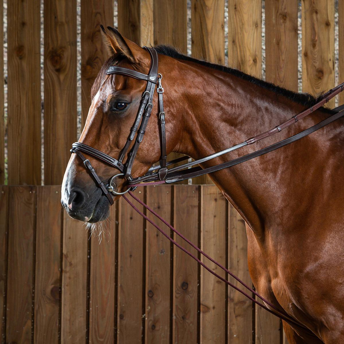 Dy'on Working Collection Leather/Nylon Draw Reins 5/8"