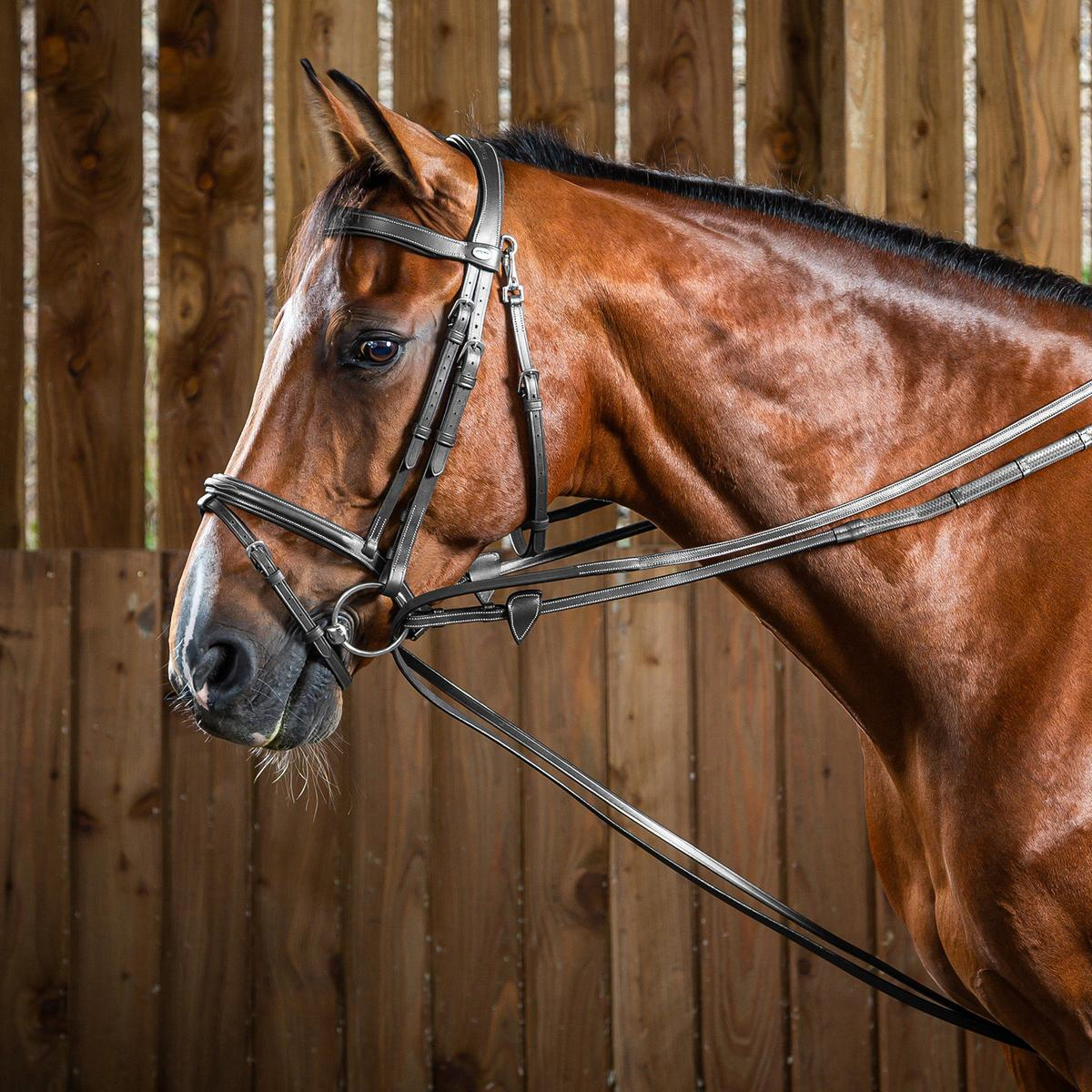 Dy'on Working Collection Hunter Draw Reins 1/2"