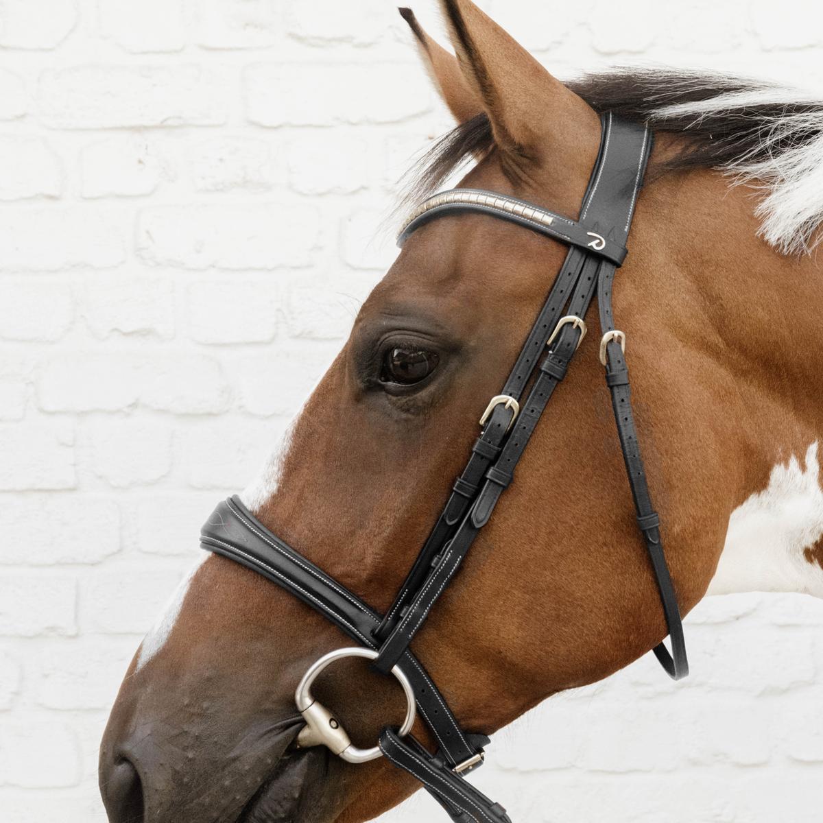 Kentucky Horsewear Anatomic Noseband Without Flash
