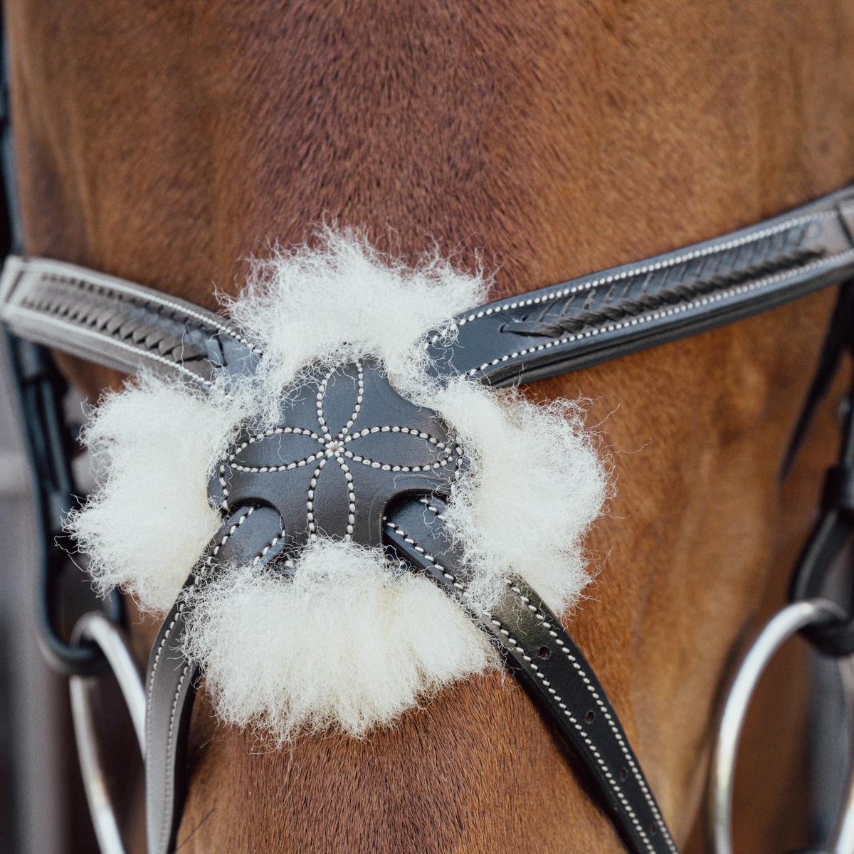 Kentucky Horsewear Plaited Figure 8 Noseband