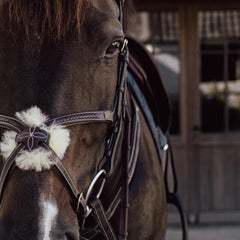Kentucky Horsewear Plaited Figure 8 Noseband