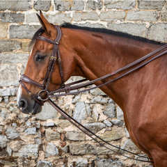 Dy'on D Collection Full Leather Draw Reins 1/2"