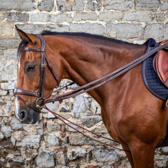 Dy'on D Collection Leather/Nylon Draw Reins 5/8"