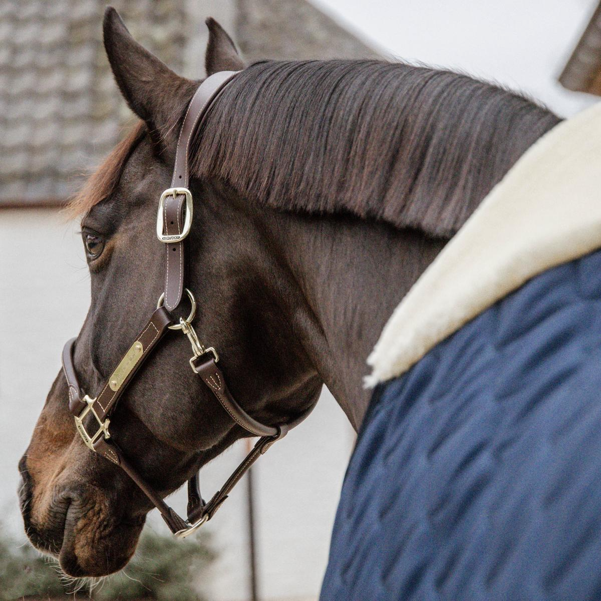 Kentucky Horsewear Stable Rug Comfort