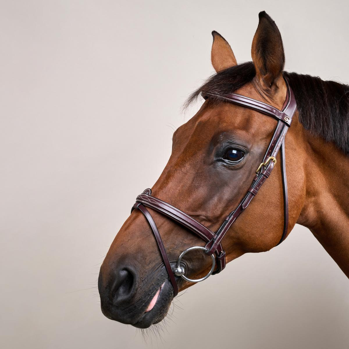 Dy'on D Collection Flash Noseband With Removable Attachment Bridle