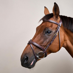 Dy'on D Collection Flash Noseband With Removable Attachment Bridle