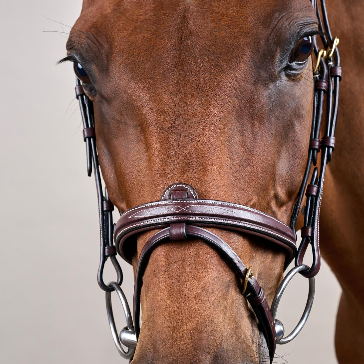 Dy'on D Collection Flash Noseband With Removable Attachment Bridle