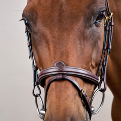 Dy'on D Collection Flash Noseband With Removable Attachment Bridle