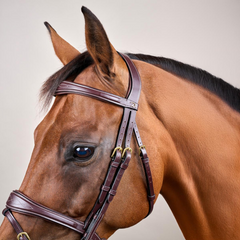 Dy’on D Collection Anatomic Flash Noseband Bridle