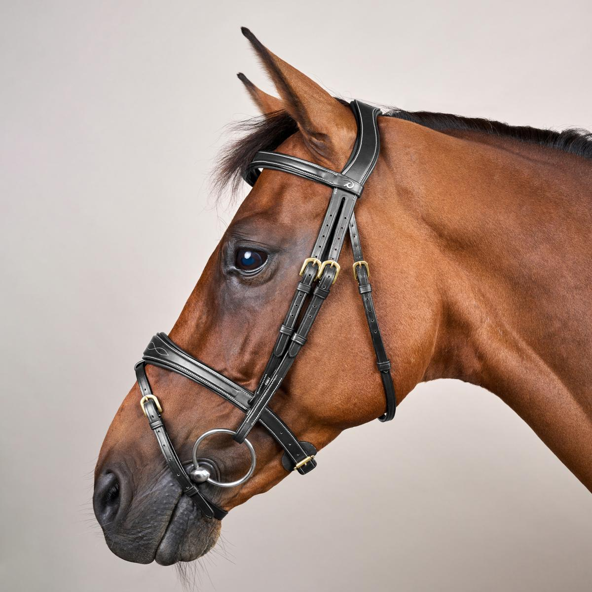 Dy’on D Collection Anatomic Flash Noseband Bridle