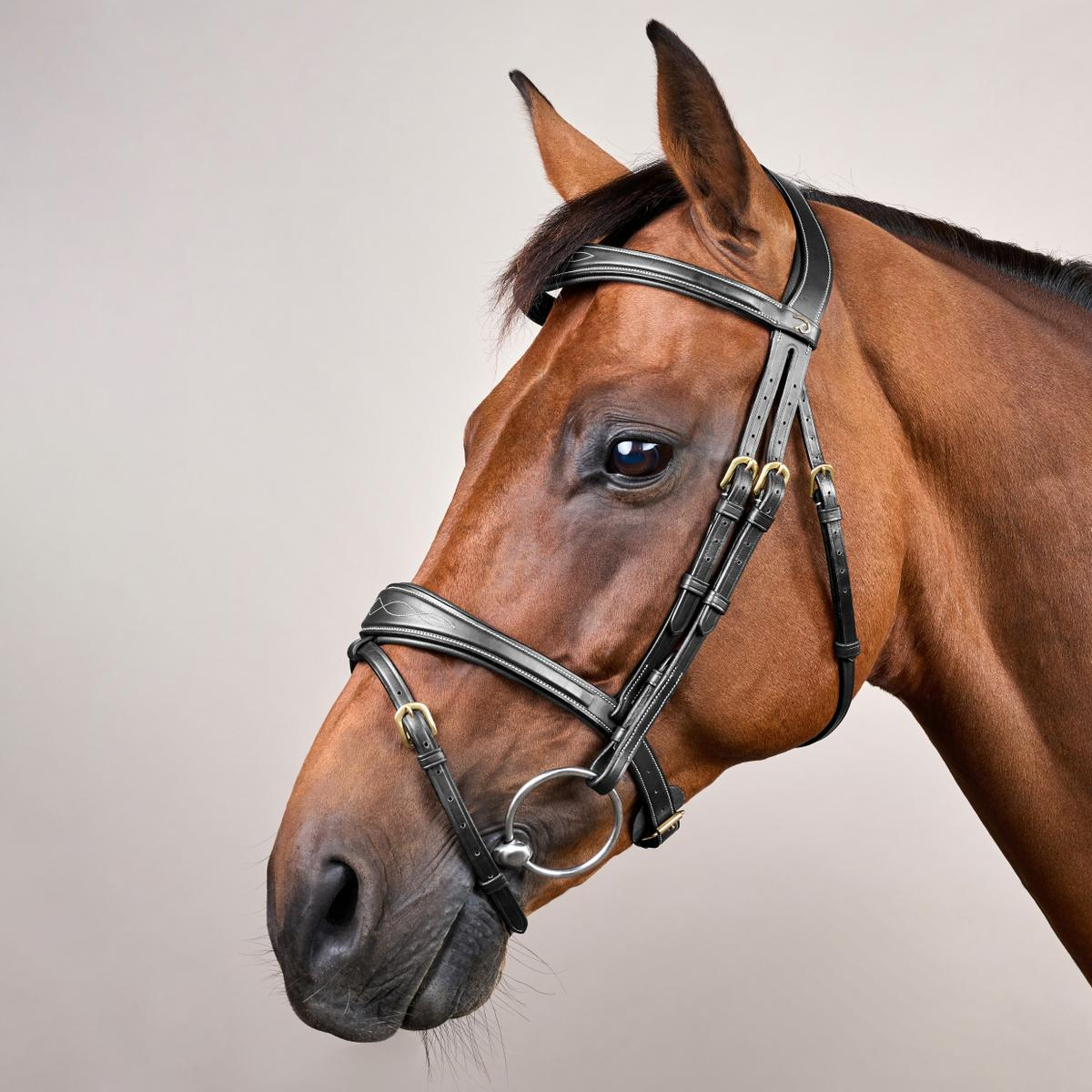 Dy’on D Collection Anatomic Flash Noseband Bridle