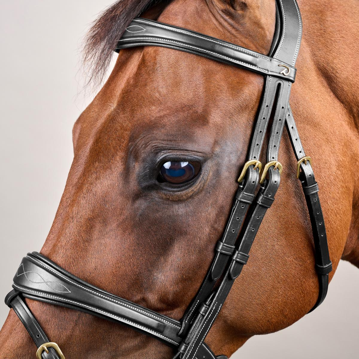 Dy’on D Collection Anatomic Flash Noseband Bridle