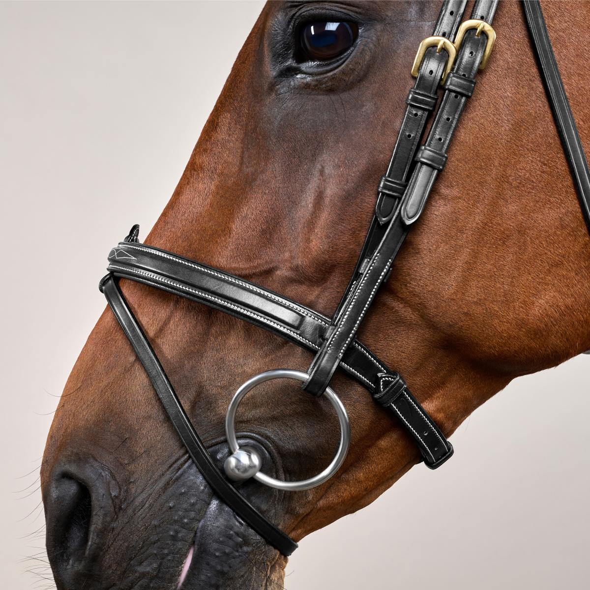 Dy'on D Collection Flash Noseband With Removable Attachment Bridle