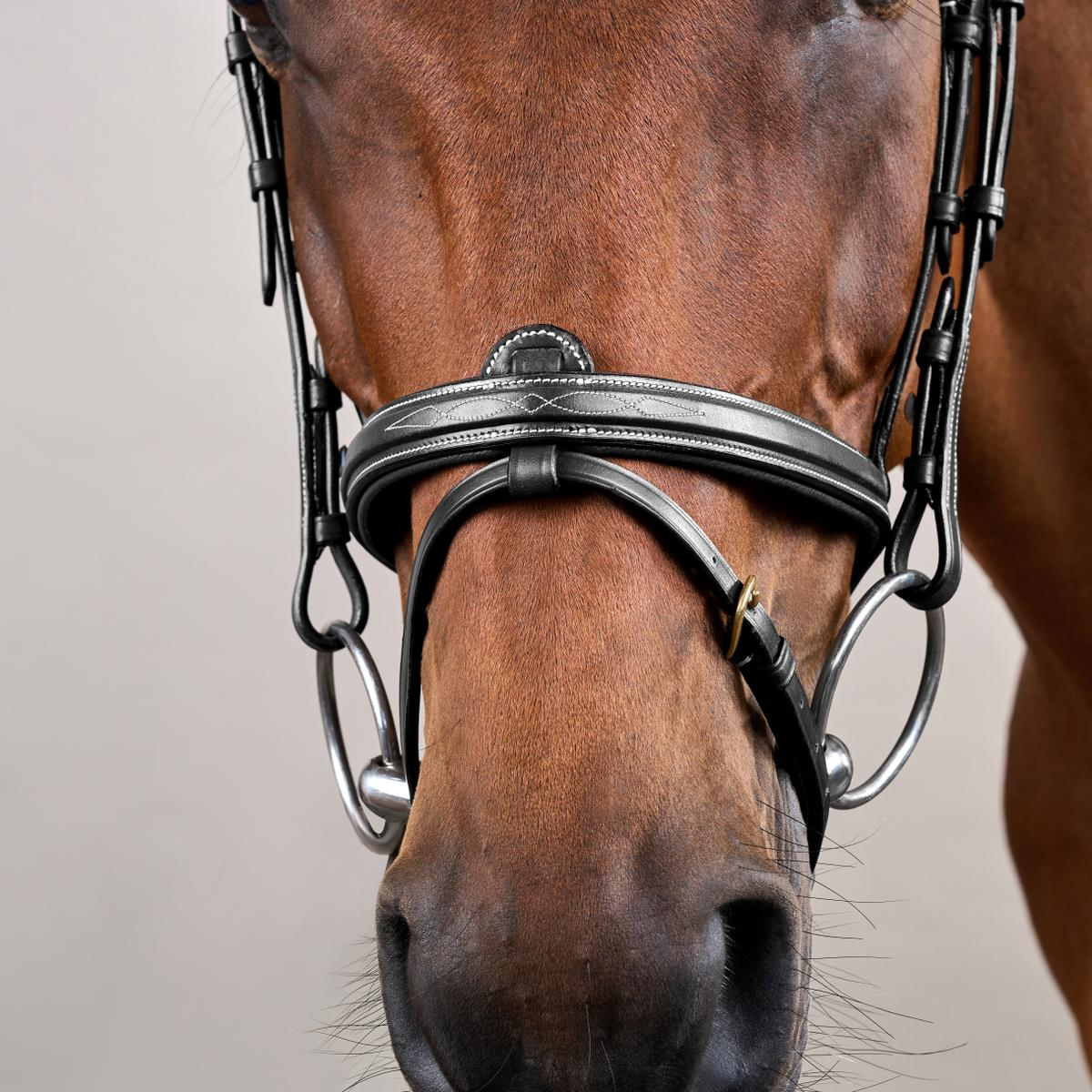 Dy'on D Collection Flash Noseband With Removable Attachment Bridle