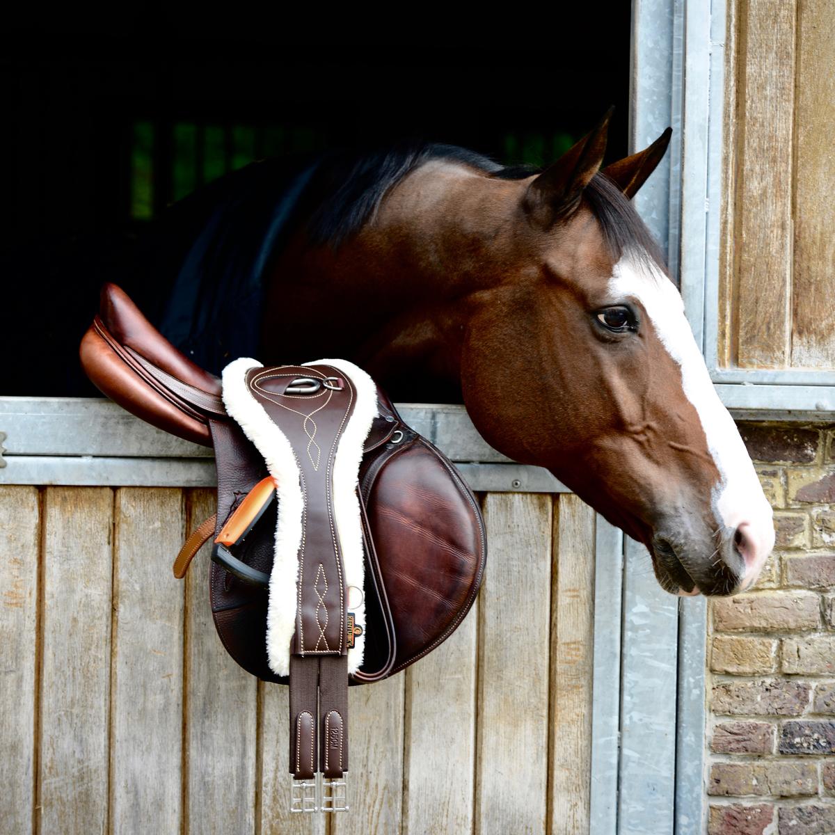 Kentucky Horsewear Sheepskin Anatomic Girth Cover