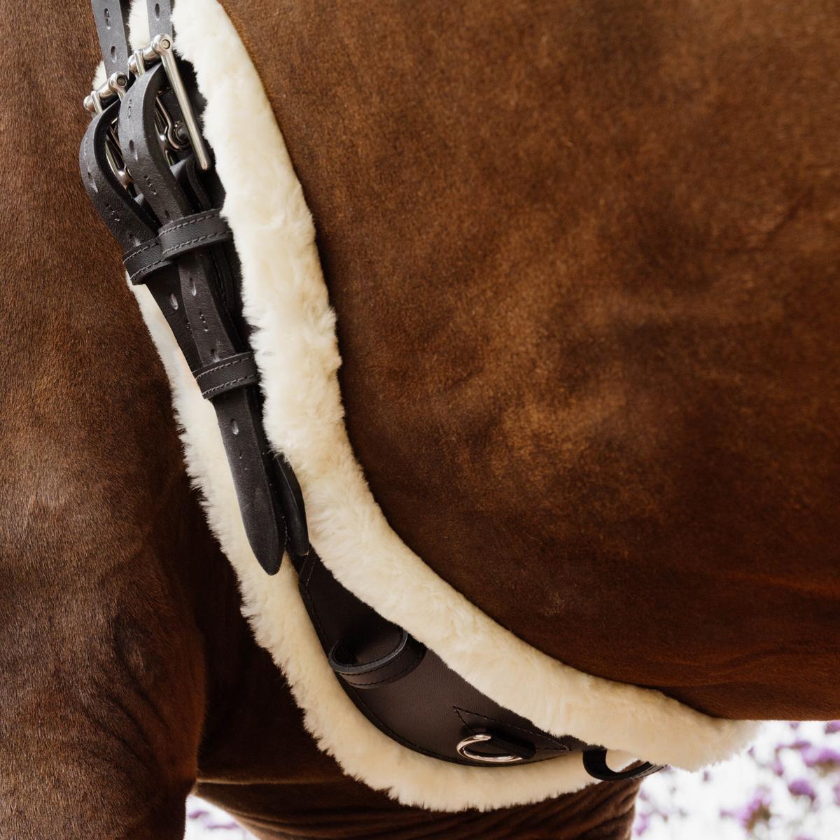 Kentucky Horsewear Sheepskin Anatomic Short Girth