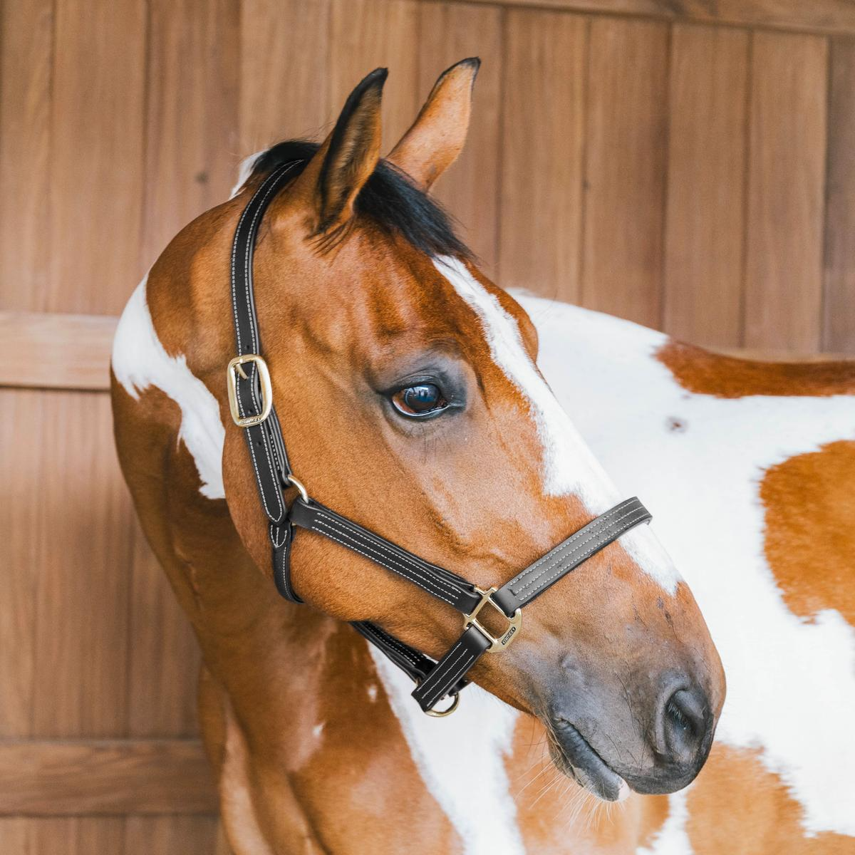 Kentucky Horsewear Leather Halter Wellington