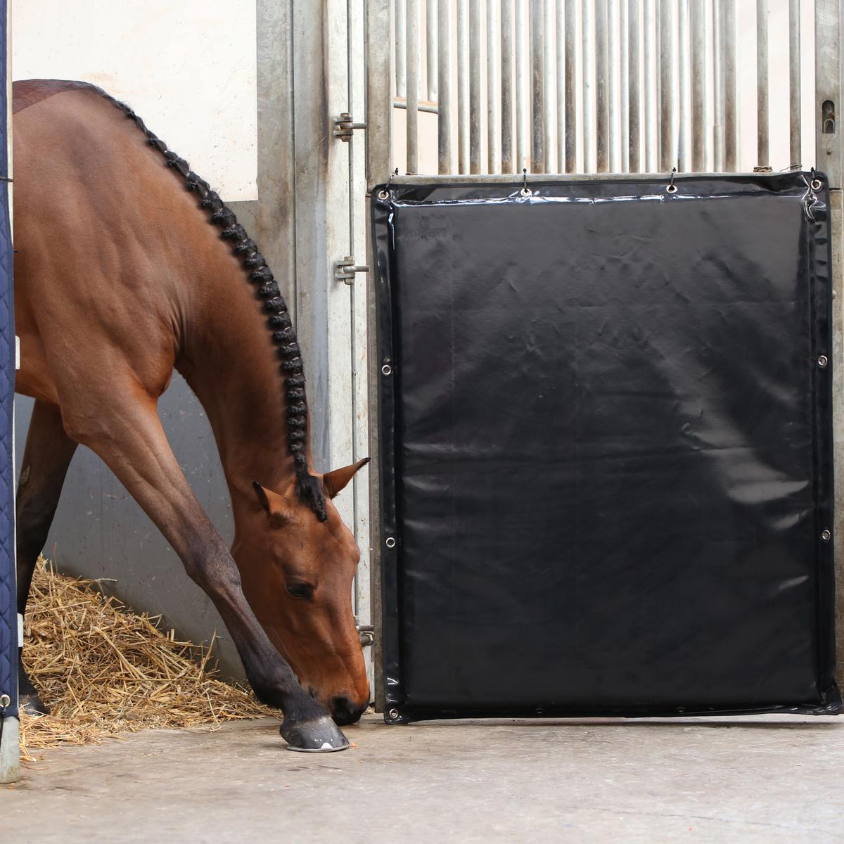 Kentucky Horsewear Kick Pad