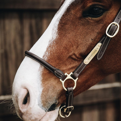 Kentucky Horsewear Leather Grooming Halter