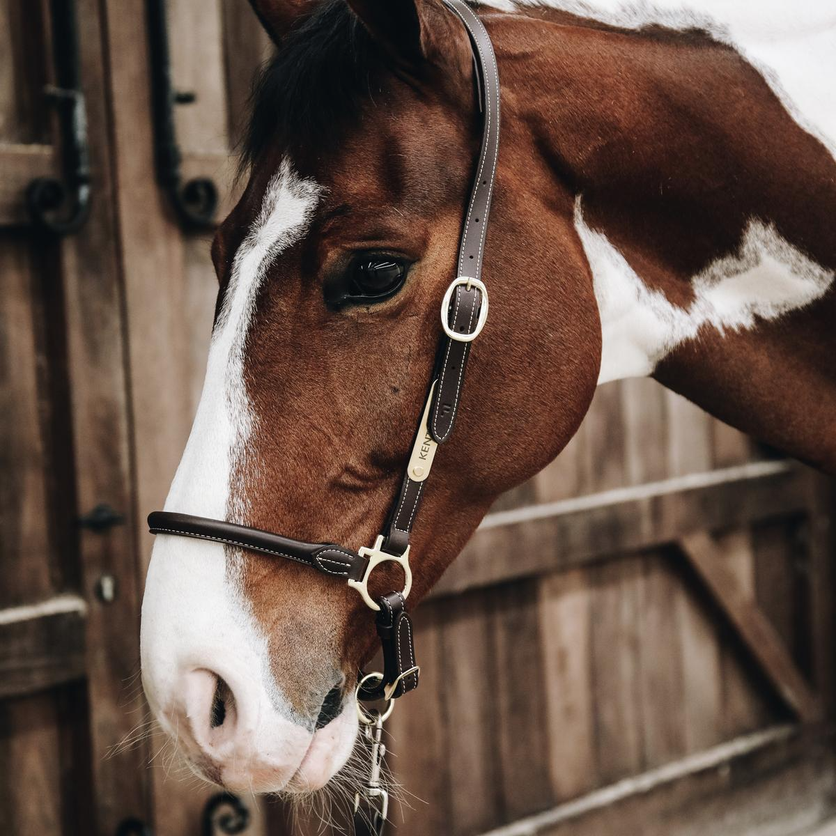 Kentucky Horsewear Leather Grooming Halter