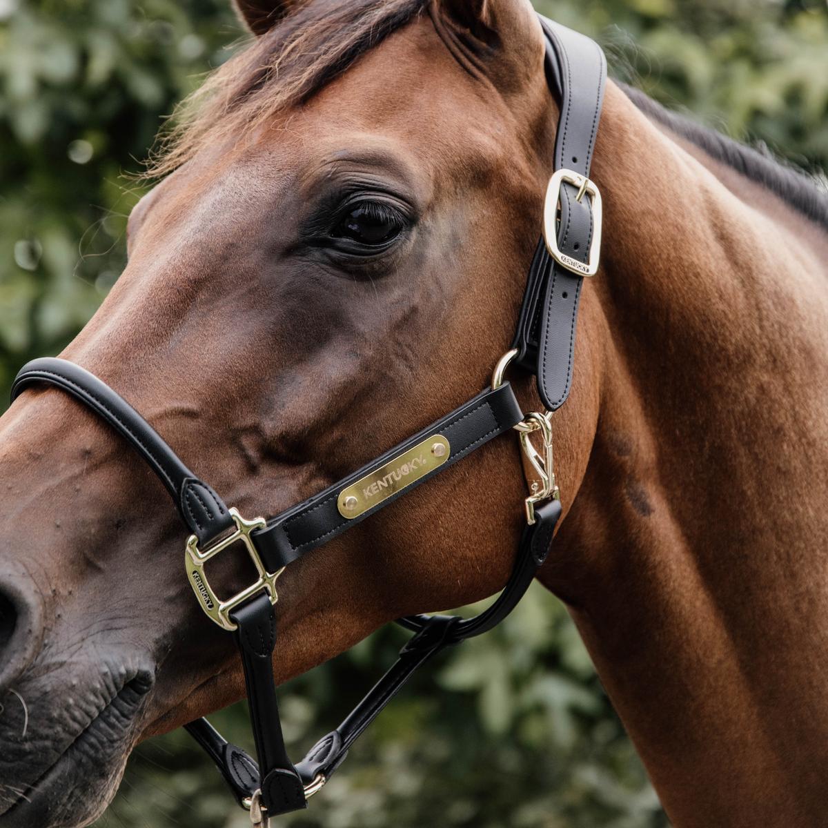 Kentucky Horsewear Leather Anatomic Halter Neck Piece