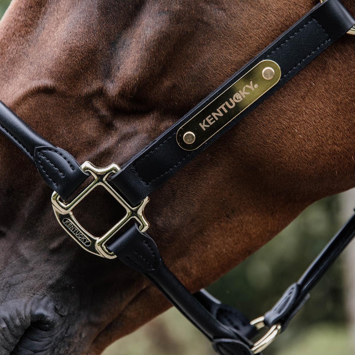 Kentucky Horsewear Leather Anatomic Halter Neck Piece