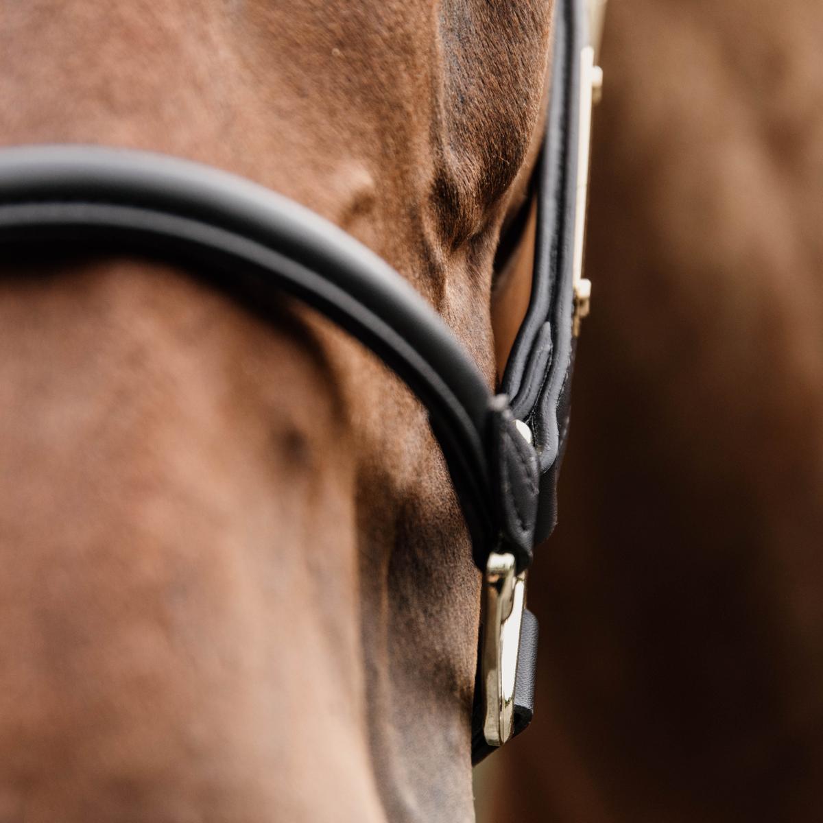 Kentucky Horsewear Leather Anatomic Halter Neck Piece