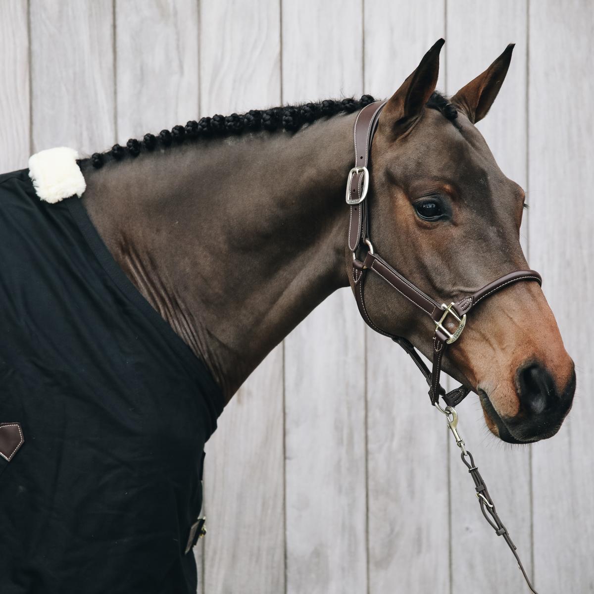Kentucky Horsewear Leather Anatomic Halter Neck Piece